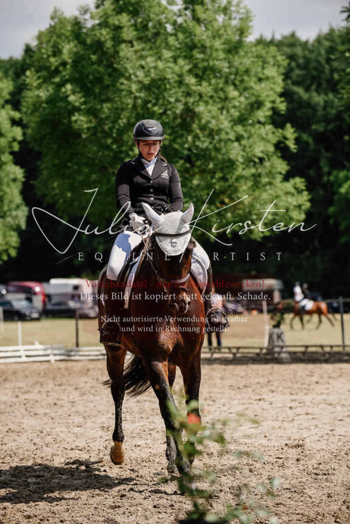 DSC_1065 | Pferde- und Turnierfotografie in Westsachsen. Pferdeportraits, Auftragszeichnungen und intuitive Kunst.