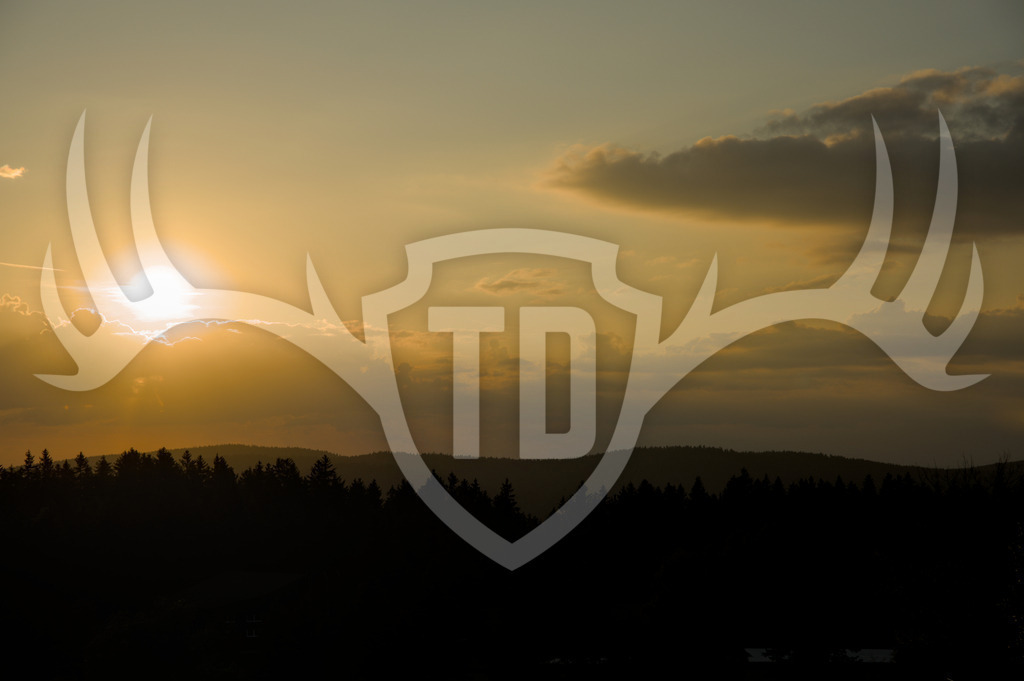 Sonnenuntergang über dem Dunkelwald | Sonnenuntergang in Rabenberg - Realisiert mit Pictrs.com