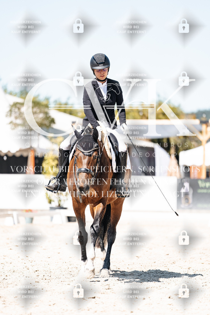 CK900472 | Turnierfotografie Pferdefotografie Trier Rheinland-Pfalz Pferdesport Reitsport Tierfotografie Sportfotografie Pferdevideo Pferdevideografie Equestrianvideography equestrianphotography  - Realisiert mit Pictrs.com