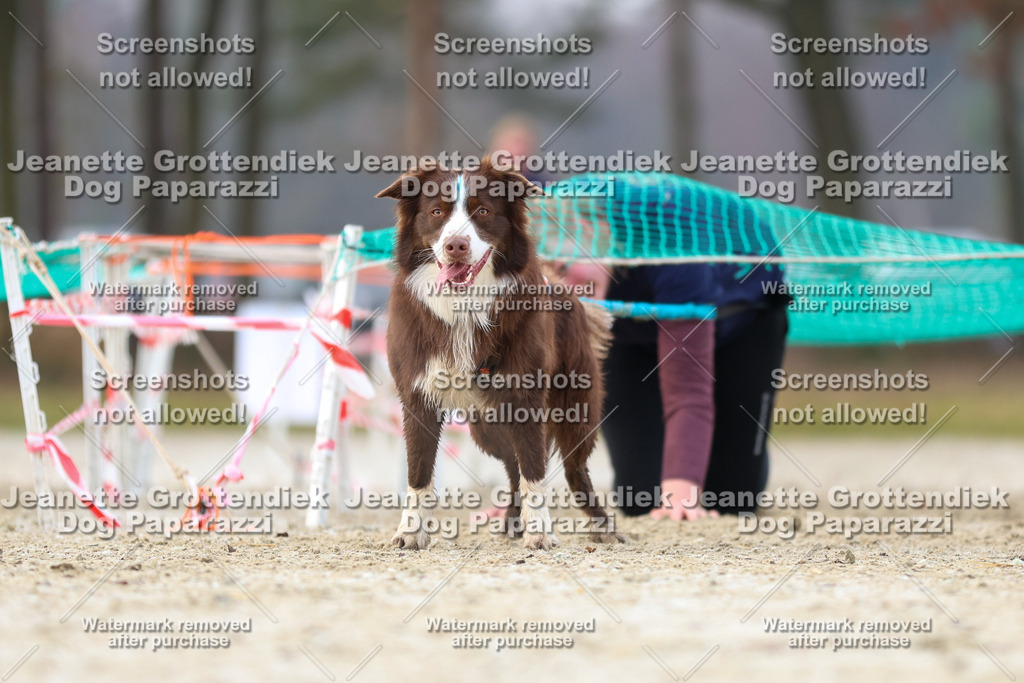 Dog Paparazzi - Strongdog North Mrz26-4004 | Dog Paparazzi Jeanette Grottendiek Fotografie & Videografie - Realisiert mit Pictrs.com