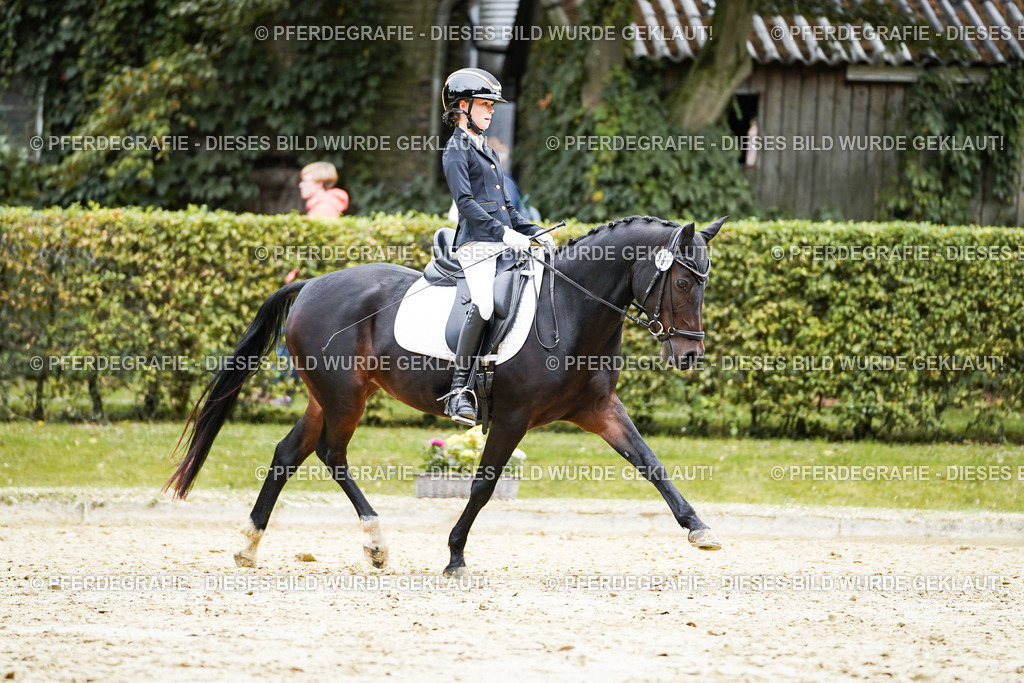 DSC09525 | Pferdegrafie