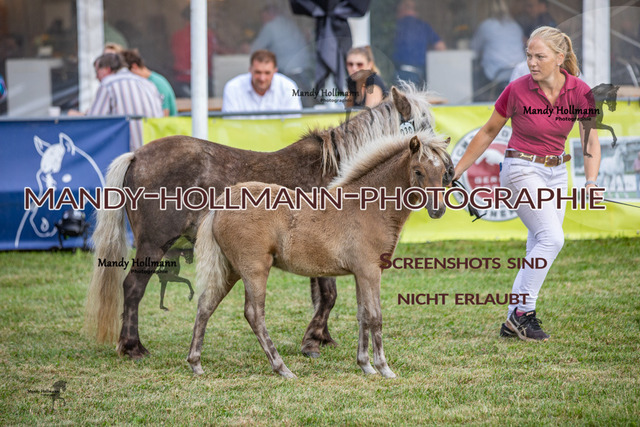 LTN 2024 (914) | mandyhollmannphotographie