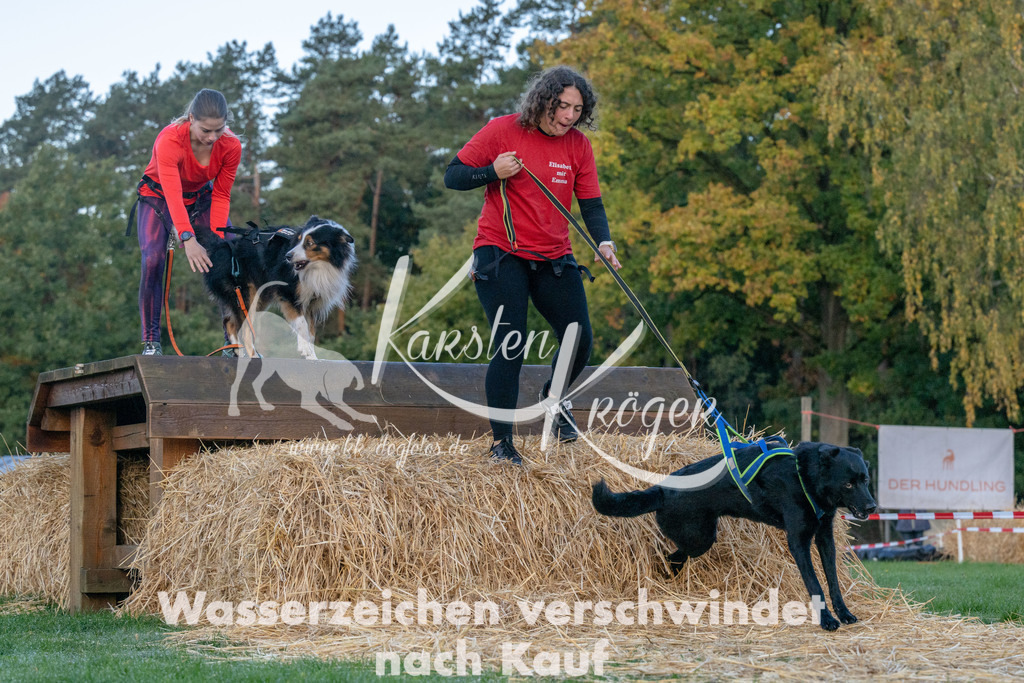 0836_ZZ90889 | kk-dogfotos
