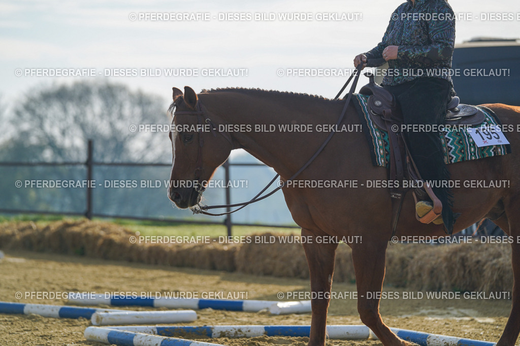 DSC00563 | Pferdegrafie