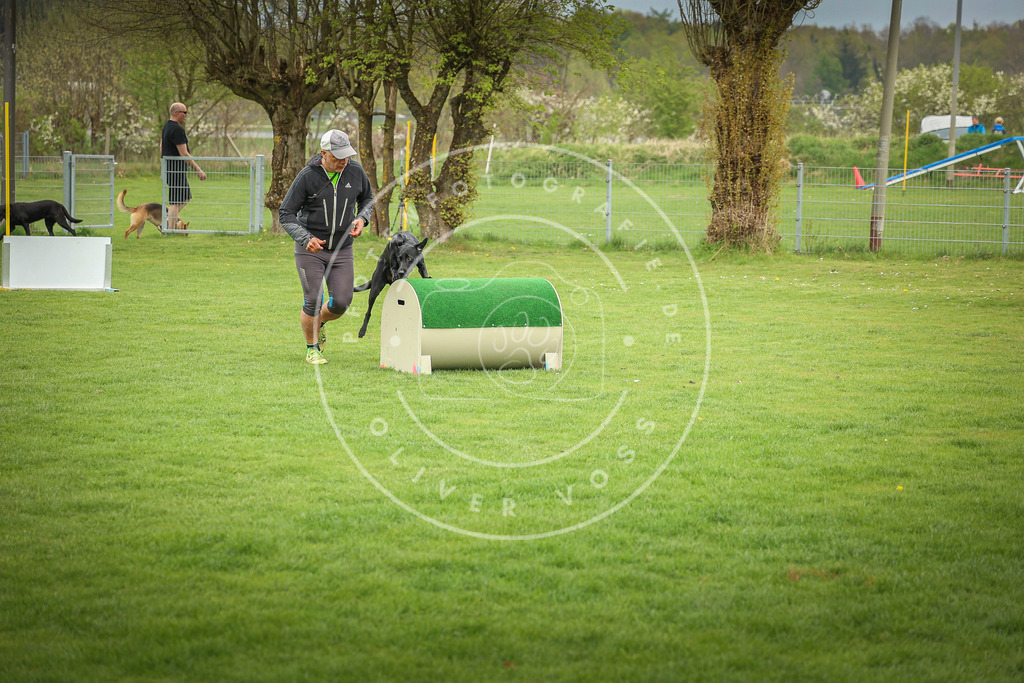 Pfotenfotografie_0L8A9538 | Hundefotografie, Tierfotograf, Pfotenfotografie, Fotoshooting Hund, Hunde Portrait, Hundesport, Hundeportraits, Heideshooting, Hunde, Sportfotograf, Hundefotograf, Turnierhundsport, THS,  - Realisiert mit Pictrs.com