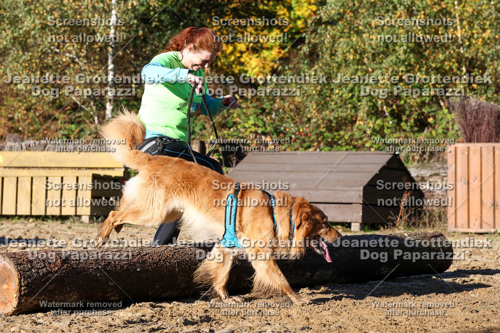 Dog Paparazzi - Strongdog 10-25-1523 | Dog Paparazzi Jeanette Grottendiek Fotografie & Videografie - Realisiert mit Pictrs.com