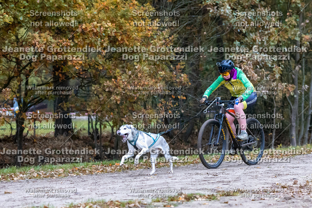 Dog Paparazzi - SD CaniX Championship 2025-55 | Dog Paparazzi Jeanette Grottendiek Fotografie & Videografie - Realisiert mit Pictrs.com