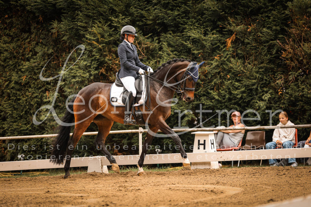 16.SaDrM00129 | Leoni Ertmer Photography - Realisiert mit Pictrs.com
