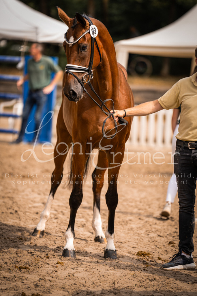 6.Fr00160 | Leoni Ertmer Photography - Realisiert mit Pictrs.com