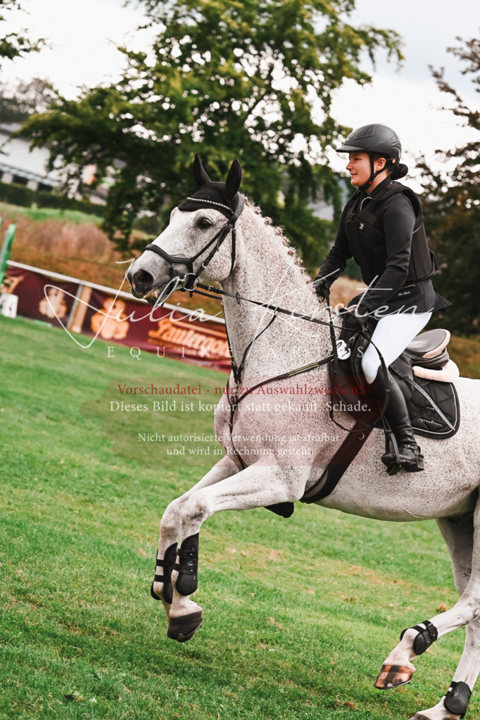 DSC_6068 | Pferde- und Turnierfotografie in Westsachsen. Pferdeportraits, Auftragszeichnungen und intuitive Kunst.