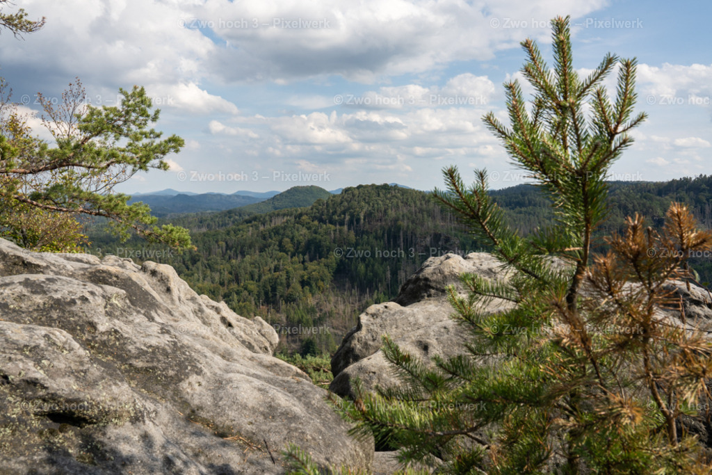 Grosser_Teichstein_Aussicht_Raumberg_Hochhuebel_Ast_Zweig | 2022-08-30_Waldbrandgebiete_1 - Realisiert mit Pictrs.com