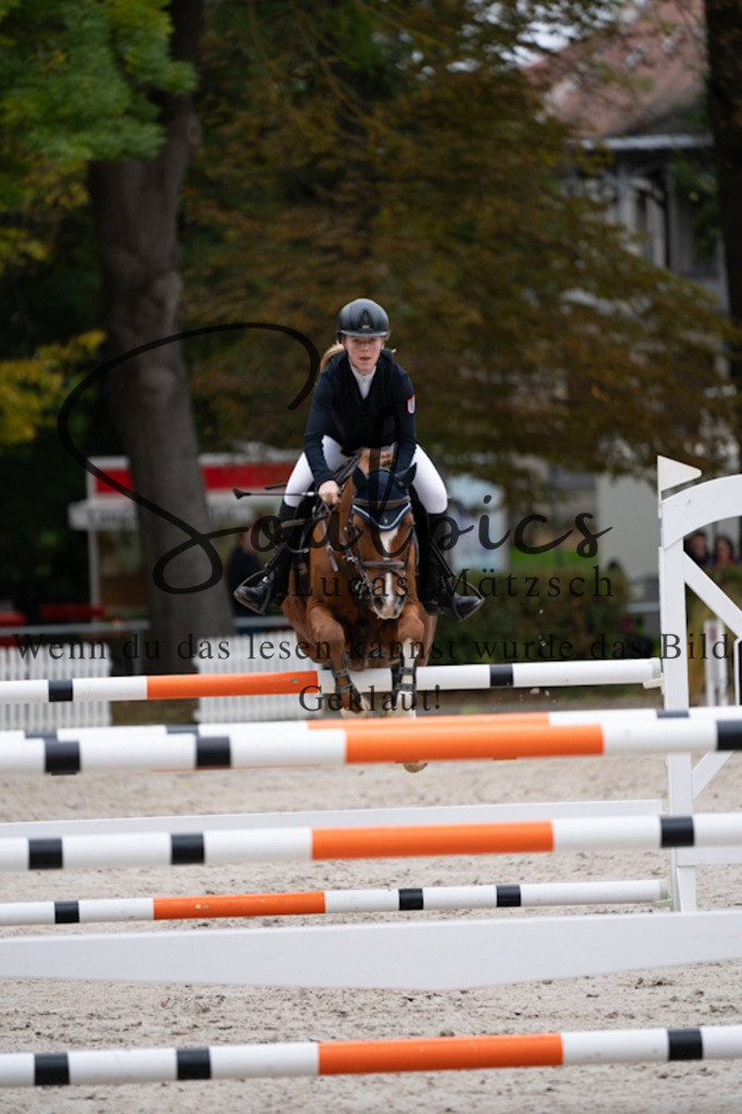 A7V09079 | Pferdefotograf