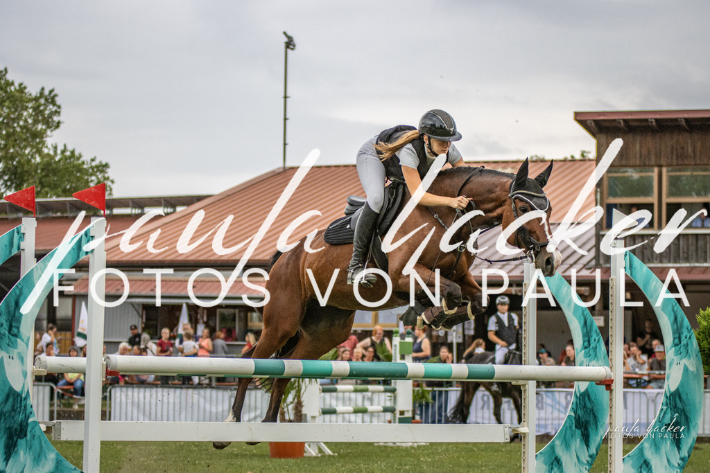 IMG_7700 | Erleben Sie dynamische Sport- und emotionale Tierfotografie in Süddeutschland mit Fotos von Paula. Spezialisiert auf Pferde- und Hundefotografie sowie Sportevents. Kontaktieren Sie mich für einzigartige und ausdrucksstarke Bilder Ihrer besonderen Momente. - Realisiert mit Pictrs.com
