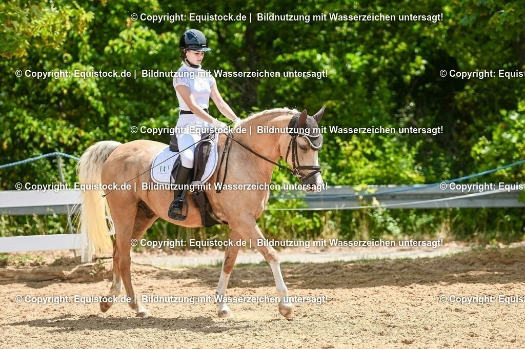 20230715_09_Dressur-WB_0490 | equistock