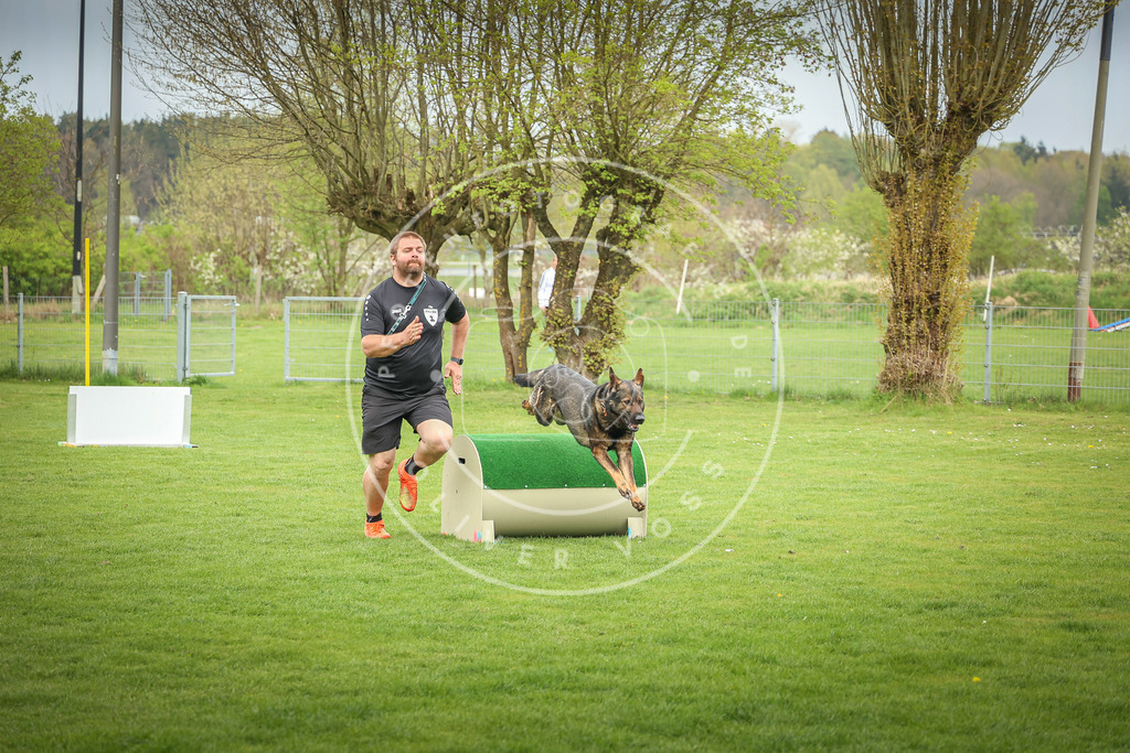 Pfotenfotografie_0L8A9700 | Hundefotografie, Tierfotograf, Pfotenfotografie, Fotoshooting Hund, Hunde Portrait, Hundesport, Hundeportraits, Heideshooting, Hunde, Sportfotograf, Hundefotograf, Turnierhundsport, THS,  - Realisiert mit Pictrs.com
