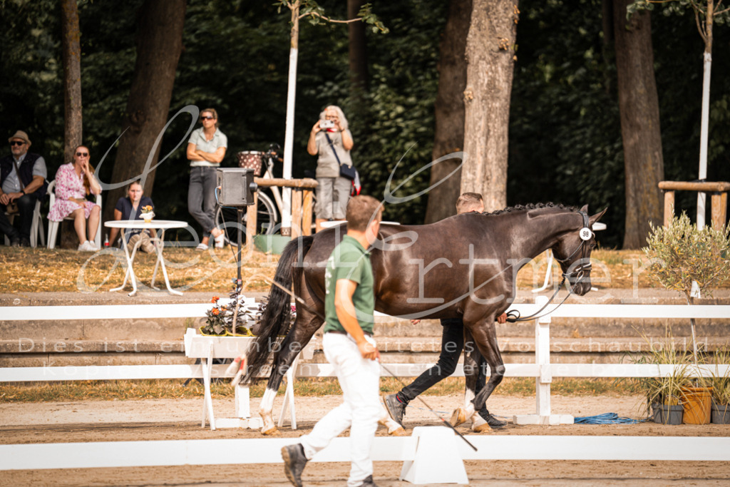 7.Fr00096 | Leoni Ertmer Photography - Realisiert mit Pictrs.com