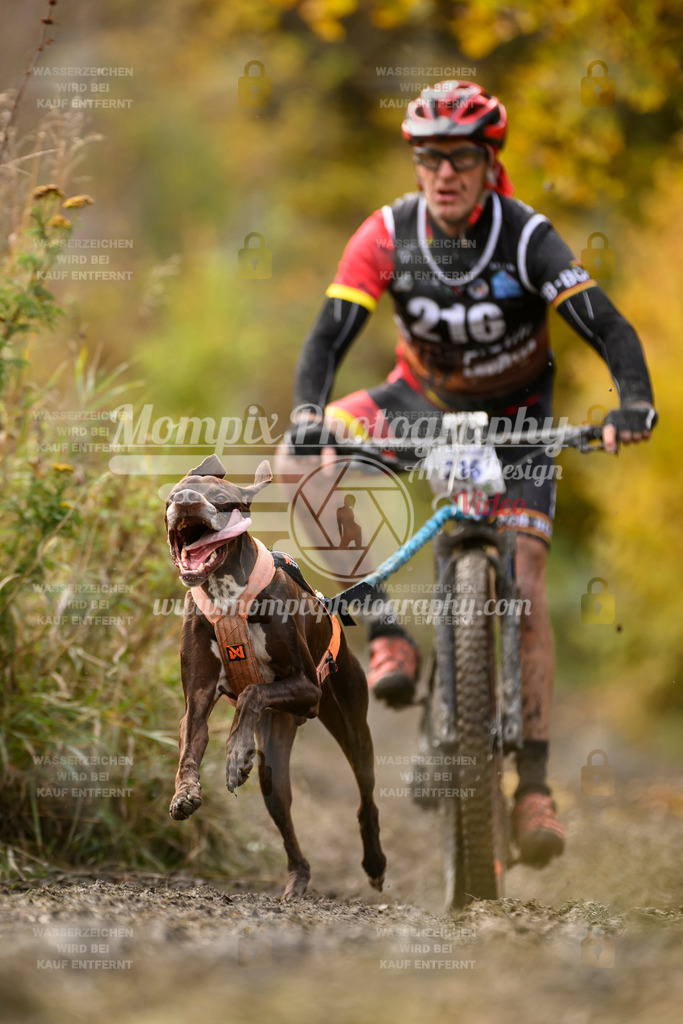 MompixPhotography_ICF_WC_2024_SA_Bike_-367 | PayLife