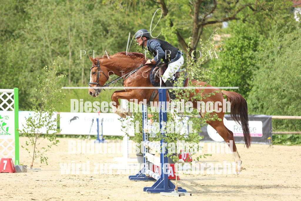 IMGM5933 | pl-fotografie