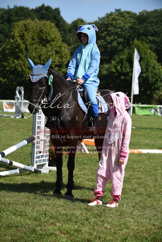 DSC_0472 | Pferde- und Turnierfotografie in Westsachsen. Pferdeportraits, Auftragszeichnungen und intuitive Kunst.