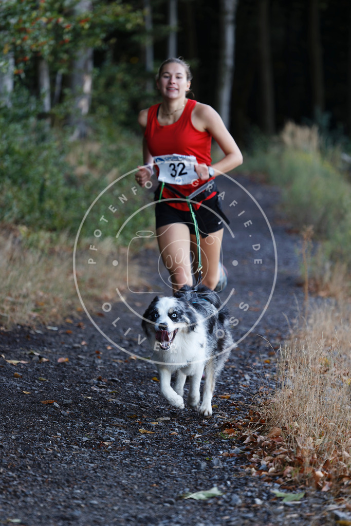 0L8A1576 | Hundefotografie, Tierfotograf, Pfotenfotografie, Fotoshooting Hund, Hunde Portrait, Hundesport, Hundeportraits, Heideshooting, Hunde, Sportfotograf, Hundefotograf, Turnierhundsport, THS,  - Realisiert mit Pictrs.com
