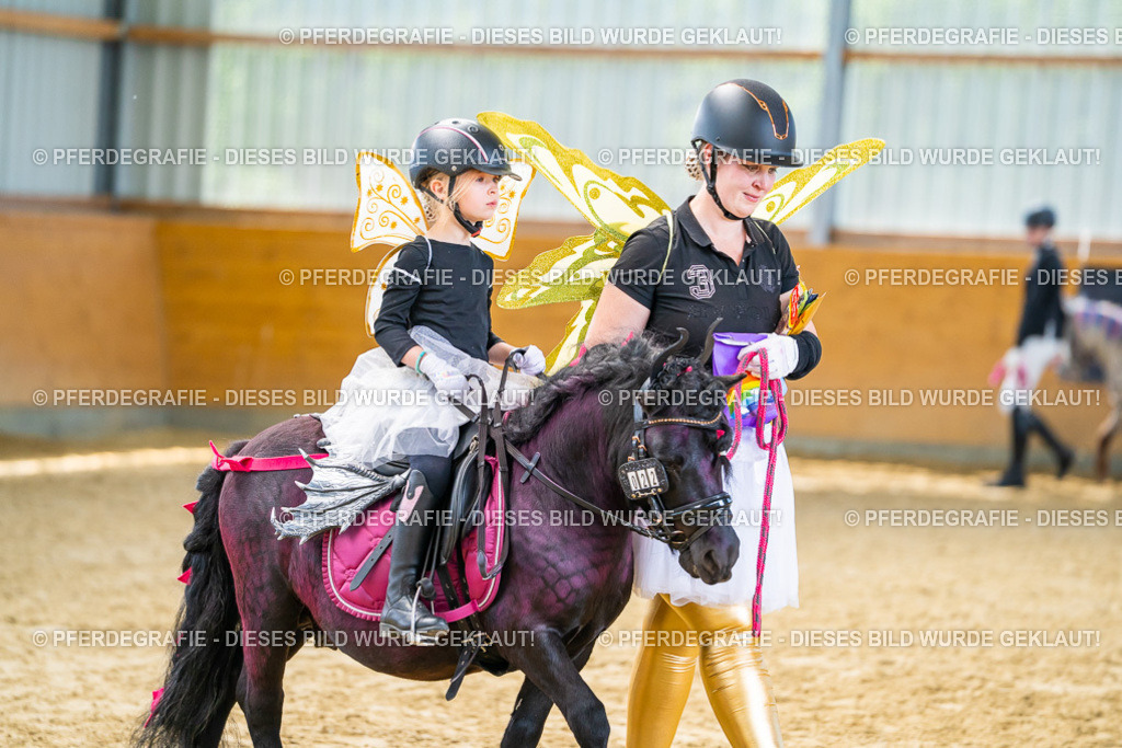 DSC00388 | Pferdegrafie