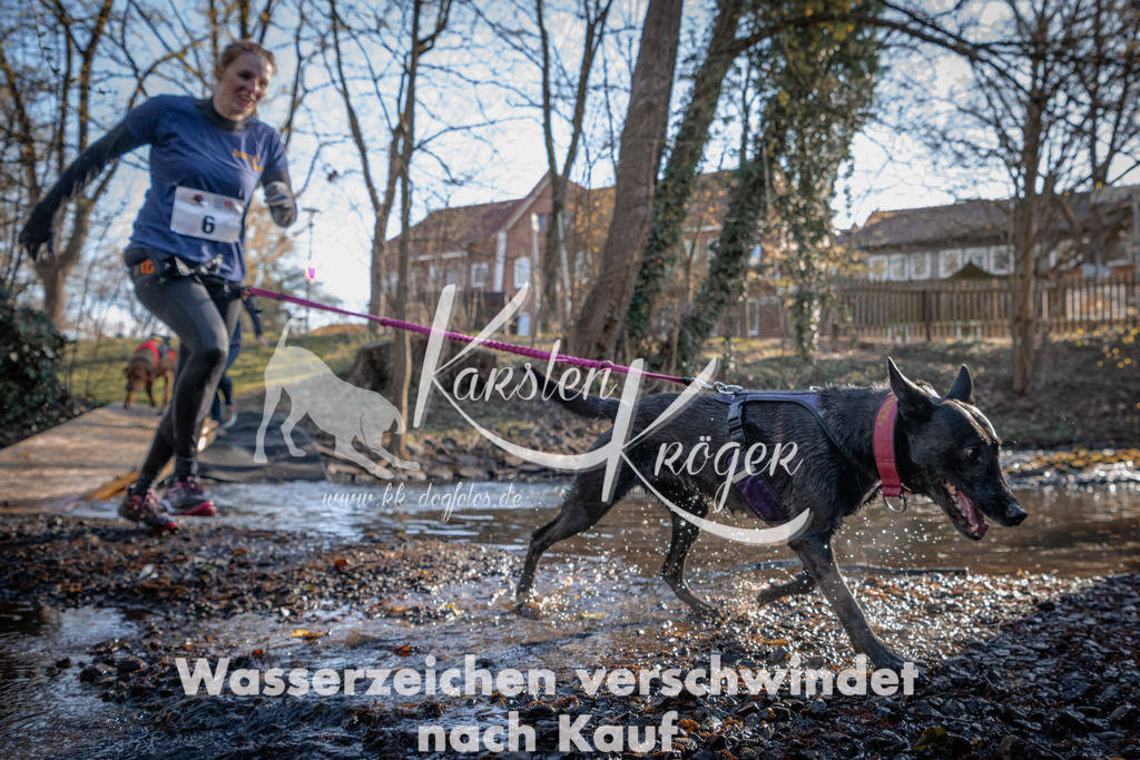 0813_ZZ90192 | kk-dogfotos