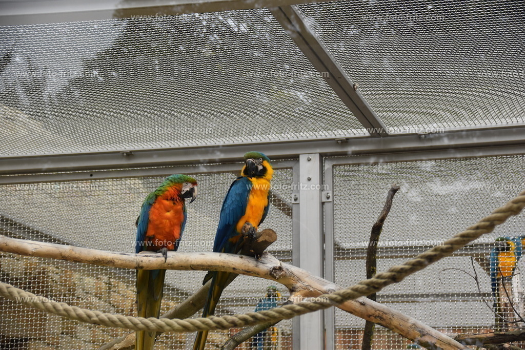 JUN_5969 | www.foto-fritz.com - Realisiert mit Pictrs.com