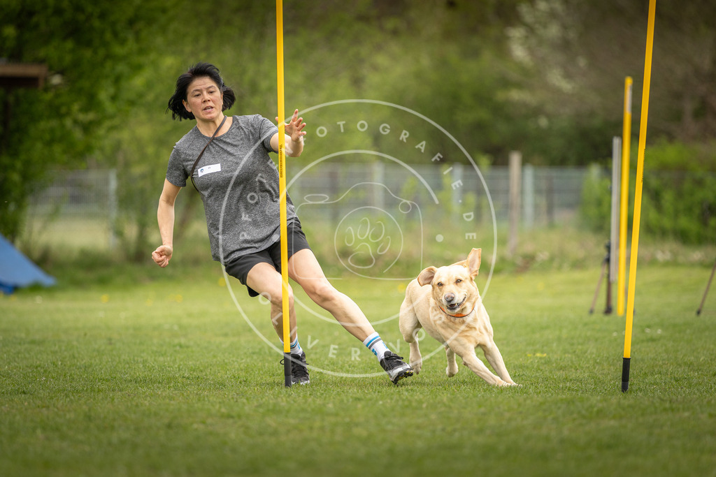 Pfotenfotografie_DV3A9582 | Hundefotografie, Tierfotograf, Pfotenfotografie, Fotoshooting Hund, Hunde Portrait, Hundesport, Hundeportraits, Heideshooting, Hunde, Sportfotograf, Hundefotograf, Turnierhundsport, THS,  - Realisiert mit Pictrs.com