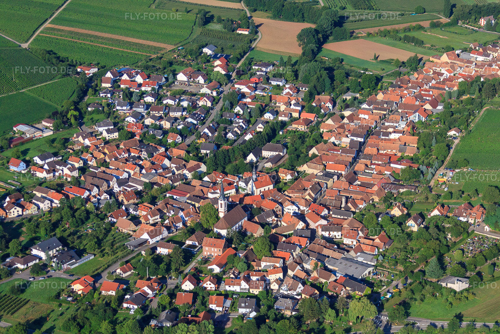 Luftbild: Dorfansicht von Nordosten in Göcklingen im Bundesland Rheinland-Pfalz in Deutschland. Foto: IMG_30926.jpg vom 07.08.2010 durch Werner Riehm/FLY-FOTO.de