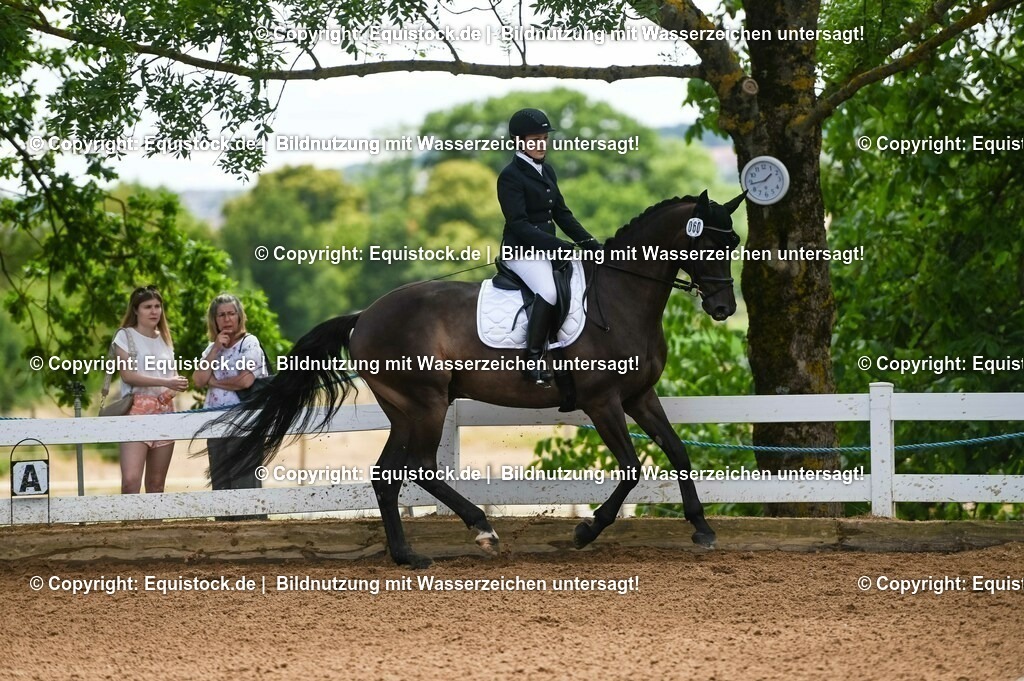 20230716_03_Dressurprfg. Kl.L - Tr._0347 | equistock