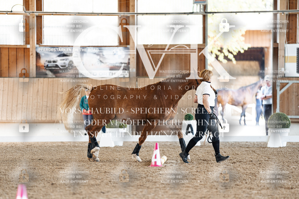 CK905600 | Turnierfotografie Pferdefotografie Trier Rheinland-Pfalz Pferdesport Reitsport Tierfotografie Sportfotografie Pferdevideo Pferdevideografie Equestrianvideography equestrianphotography  - Realisiert mit Pictrs.com
