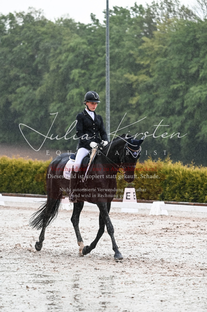 DSC_4715 | Pferde- und Turnierfotografie in Westsachsen. Pferdeportraits, Auftragszeichnungen und intuitive Kunst.