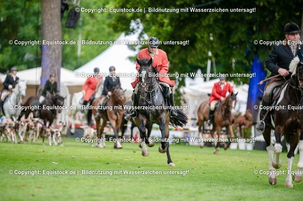 20250606_Lange-Pferdenacht_0489 | Foto: Thomas Hartig