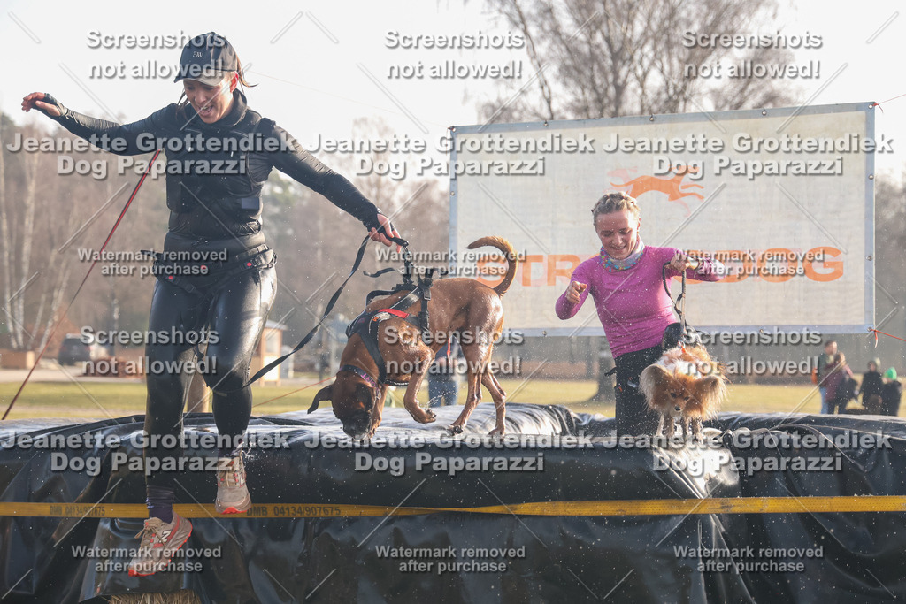 Dog Paparazzi - SD North 0326 900930-57 | Dog Paparazzi Jeanette Grottendiek Fotografie & Videografie - Realisiert mit Pictrs.com