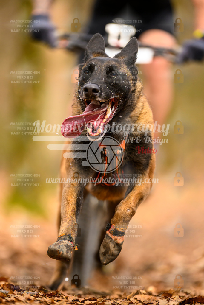 MompixPhotography_Habay2025_SA_Bike-104 | PayLife