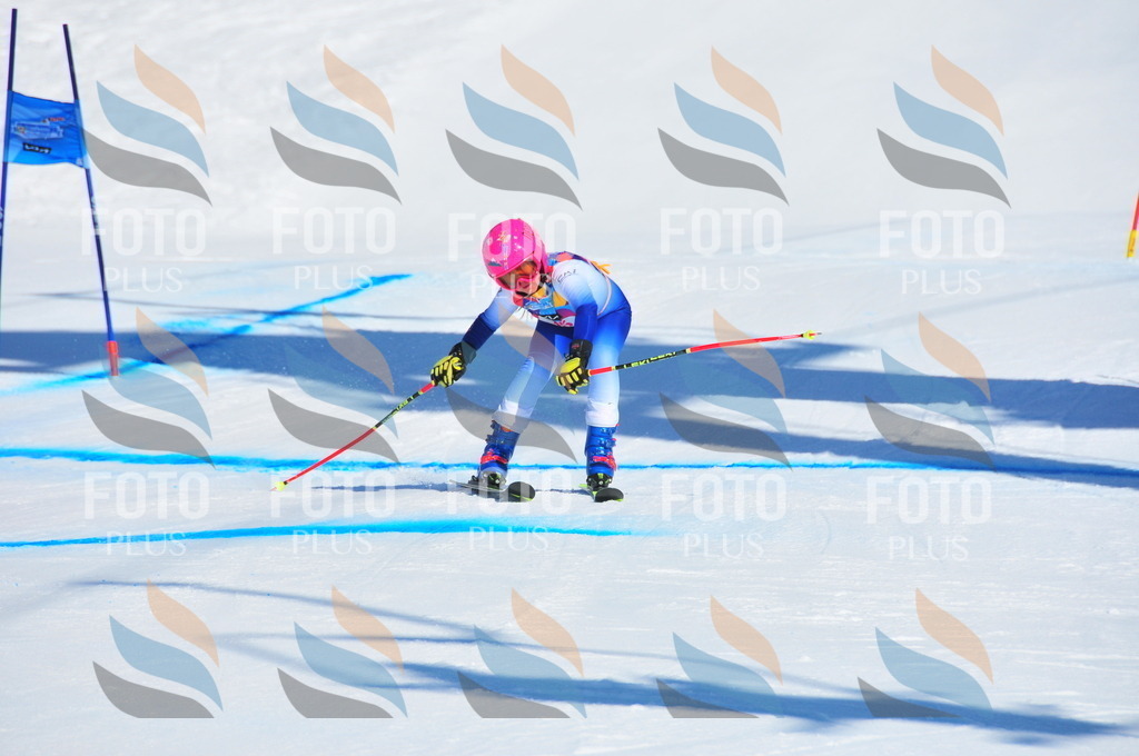 DSC_3967 | holidayphoto