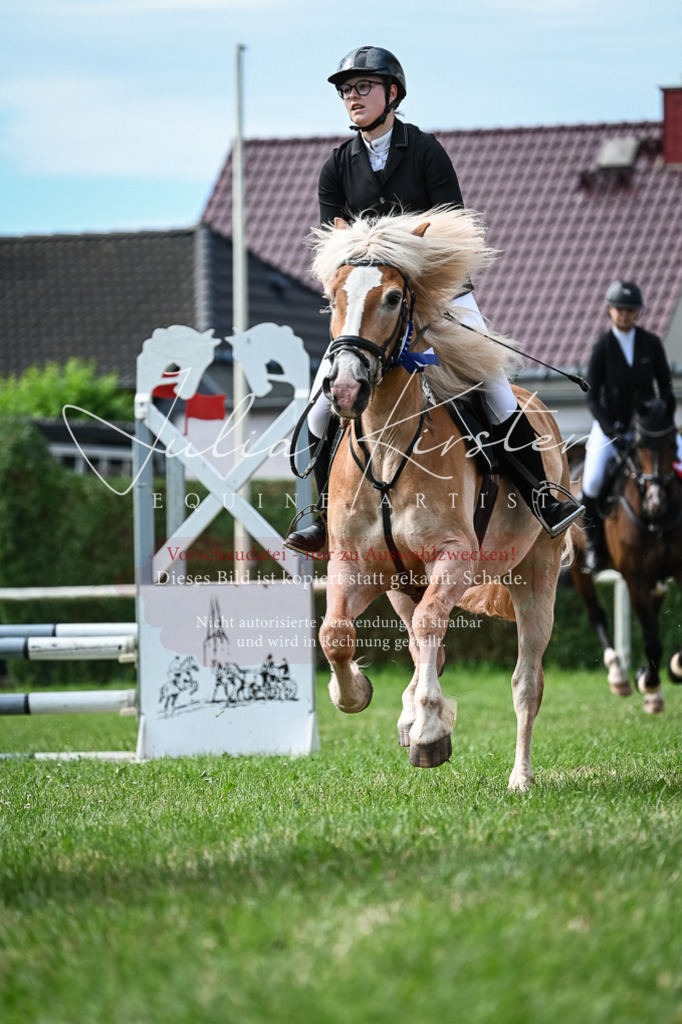 DSC_8692 | Pferde- und Turnierfotografie in Westsachsen. Pferdeportraits, Auftragszeichnungen und intuitive Kunst.