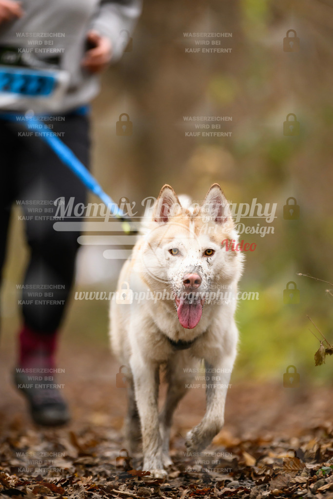 MompixPhotography_Eschau2024_CCC-139 | PayLife