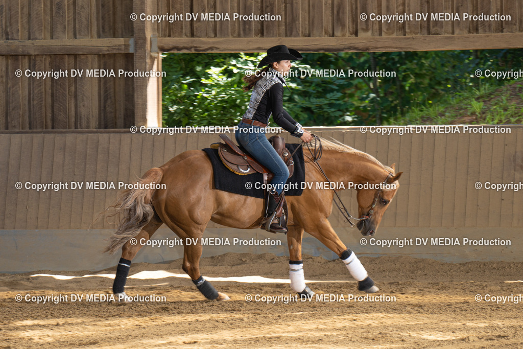 DSC00320 | dv-media-shop - Realisiert mit Pictrs.com