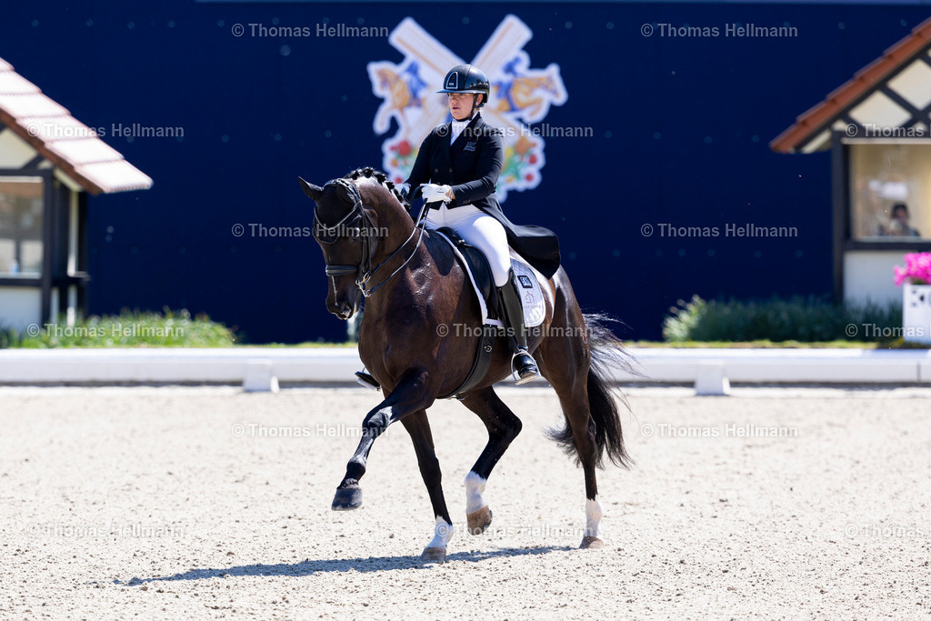 TH_560-Global Power OLD_ Eger_ Evelyn_28352 | Horses &amp; Dreams 2025 am 27.04.25 in Hagen a.T.W., Thomas Hellmann, 560Global Power OLD, Eger, Evelyn