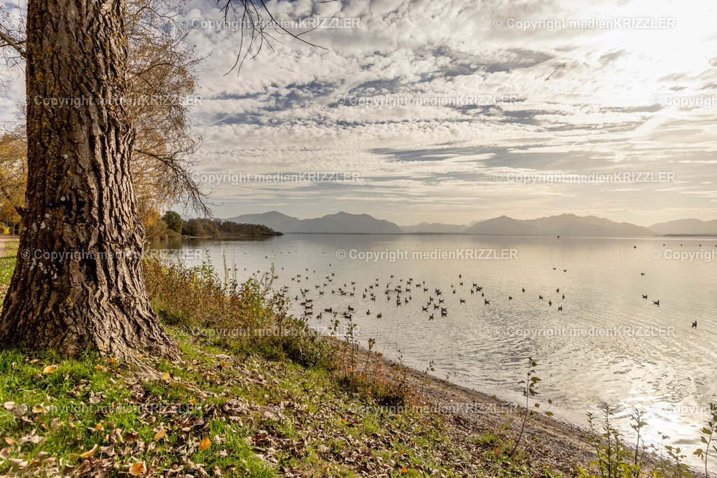 _J3A8966 | medienkrizzler - Realisiert mit Pictrs.com