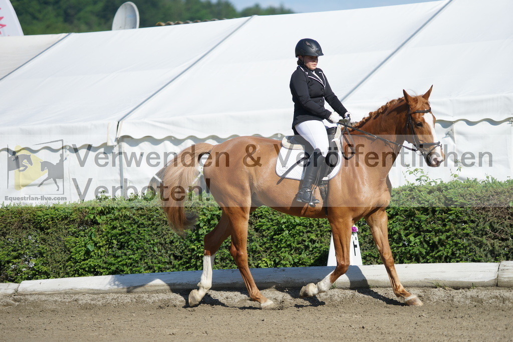 DSC04211 | equestrian-live-com