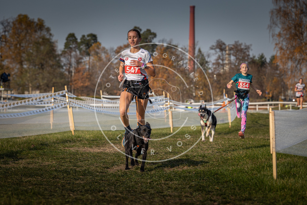CaniXpix_0L8A9322 | Hundefotografie, Tierfotograf, Pfotenfotografie, Fotoshooting Hund, Hunde Portrait, Hundesport, Hundeportraits, Heideshooting, Hunde, Sportfotograf, Hundefotograf, Turnierhundsport, THS,  - Realisiert mit Pictrs.com