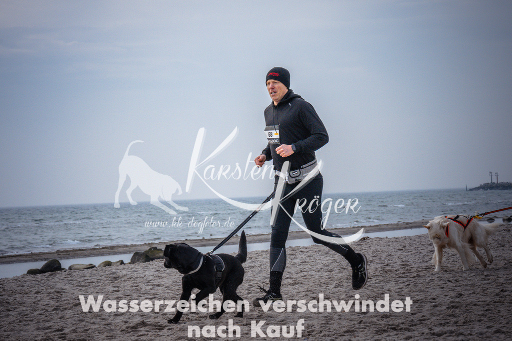 1040_ZZ95851 | kk-dogfotos