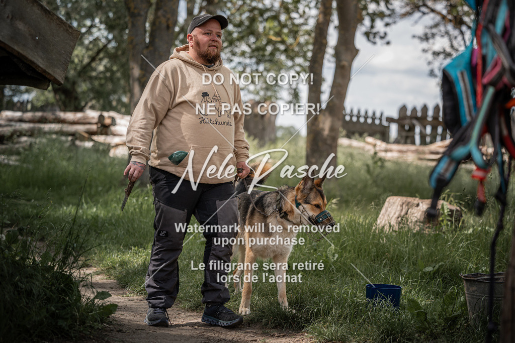 nelerasche_Do-spät_67 | nelerasche