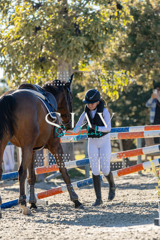 IMG_2133 | s-jay-photography - Realisiert mit Pictrs.com