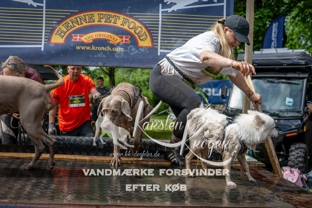 1126_ZZ94334 | kk-dogfotos