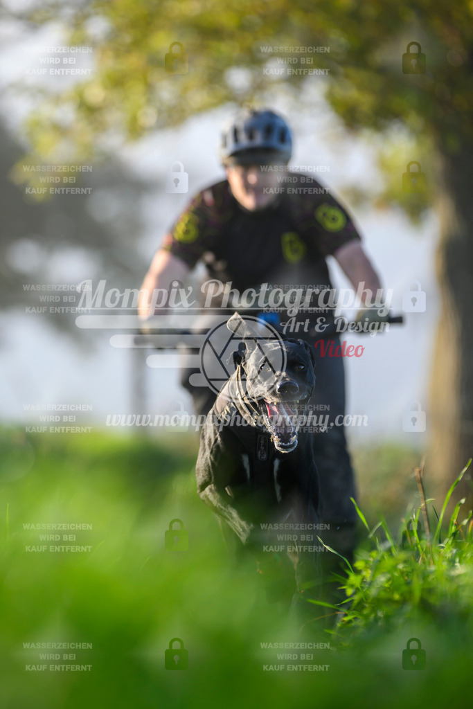 MompixPhotography_20TSB_E3_Bike-167 | PayLife