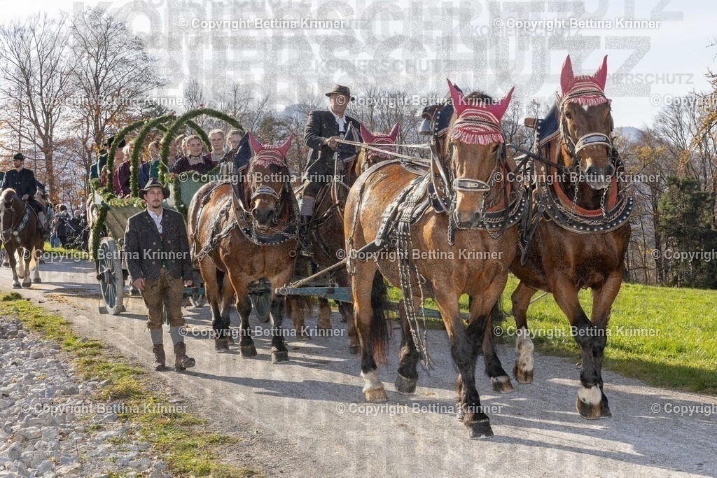 LBT24-1588 | Professionelle Fotografin mit Fachgeschäft in Lenggries & im Landkreis Bad Tölz Wolfratshausen. Hochzeitsreportage, Familienfotos, Newborn-, Babybauch-, Pass- & Businessfotos.Alles Rund ums Foto