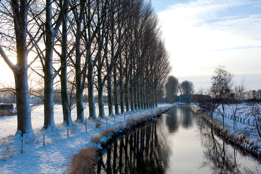 091221-067 | Europa, DEU, Deutschland, Nordrhein Westfalen, NRW, Rheinland, Niederrhein, Wachtendonk, Fluss, Die Niers, Flusslandschaft, Niersaue, Auenlandschaft, Winter, Schnee, Baeume, Pappeln, Kategorien und Themen, Natur, Umwelt, Landschaft, Jahreszeiten, Stimmungen, Landschaftsfotografie, Landschaften, Landschaftsphoto, Landschaftsphotographie, Naturschutz, Naturschutzgebiete, Landschaftsschutz, Biotop, Biotope, Landschaftsschutzgebiete, Landschaftsschutzgebiet, Oekologie, Oekologisch, Typisch, Landschaftstypisch, Landschaftspflege....[Fuer die Nutzung gelten die jeweils gueltigen Allgemeinen Liefer-und Geschaeftsbedingungen. Nutzung nur gegen Verwendungsmeldung und Nachweis. Download der AGB unter http://www.image-box.com oder werden auf Anfrage zugesendet. Freigabe ist vorher erforderlich. Jede Nutzung des Fotos ist honorarpflichtig gemaess derzeit gueltiger MFM Liste - Kontakt, Uwe Schmid-Fotografie, Duisburg, Tel. (+49).2065.677997, ..archiv@image-box.com, www.image-box.com] - Realisiert mit Pictrs.com